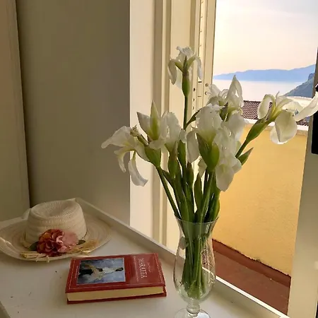 Semesterbostad Relax