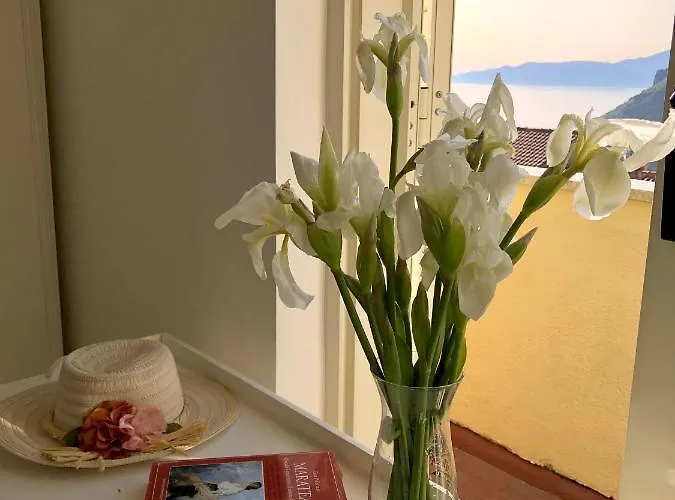 בית נופש Relax